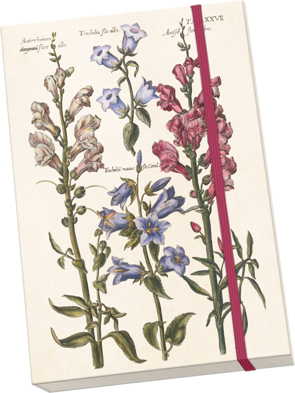 Libreta Blue