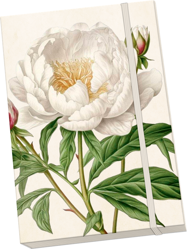 Libreta Peonia